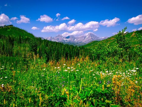 IMG_0043.JPG