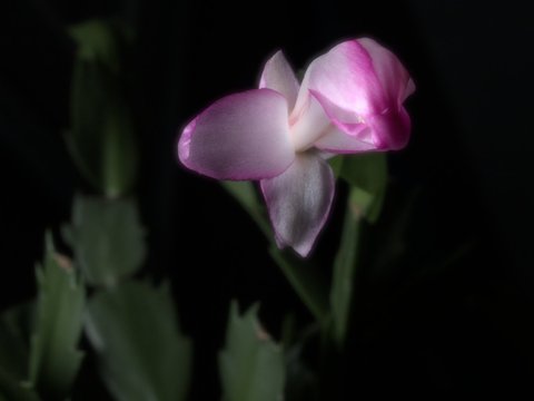 PC120073.jpg