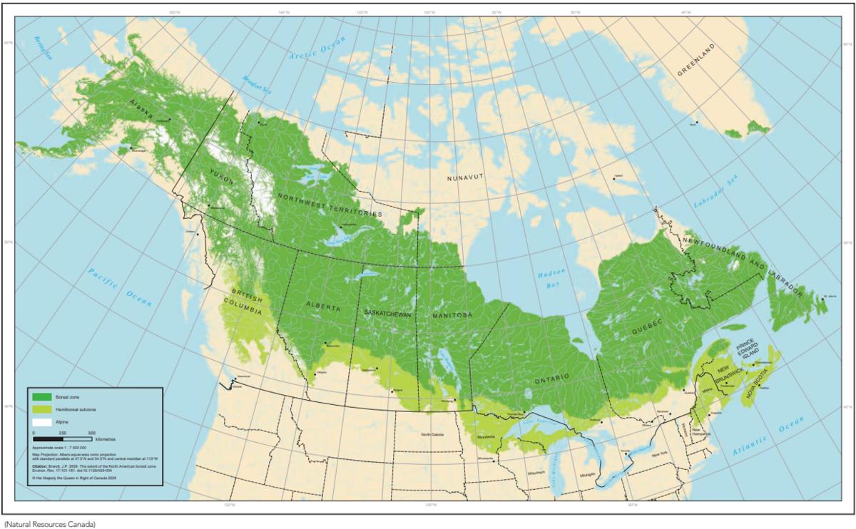 Map of the Canadian boreal forest