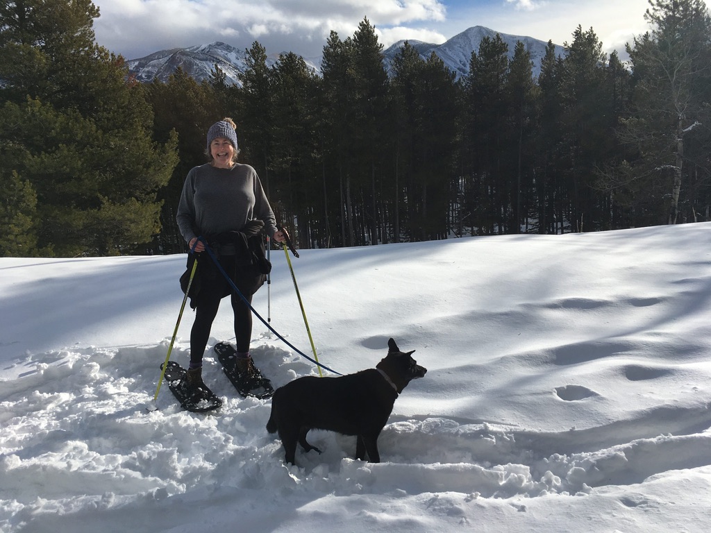 Woman and dog snowshoeing in the mountains