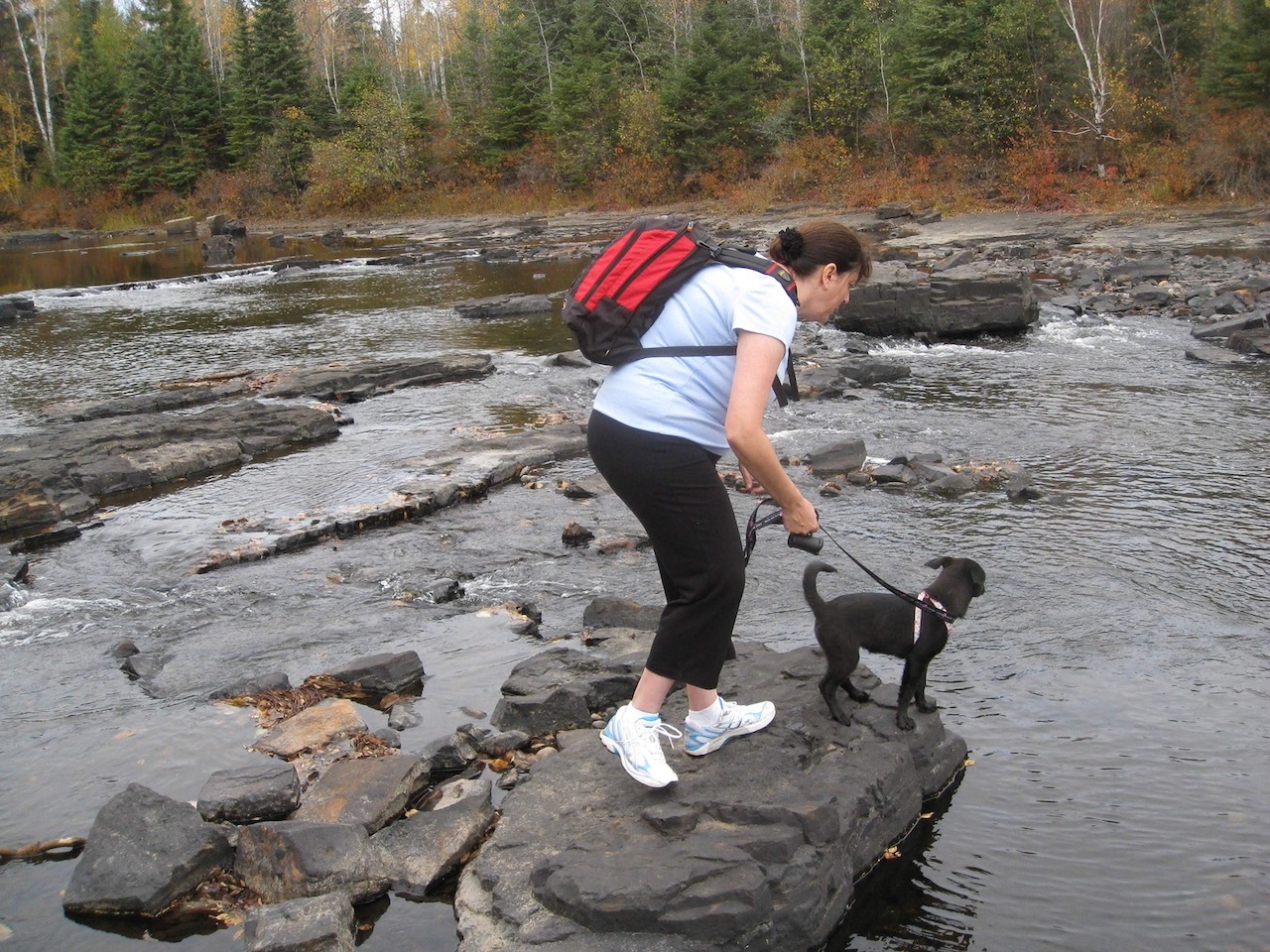 Dog and woman looking at a river flowing past