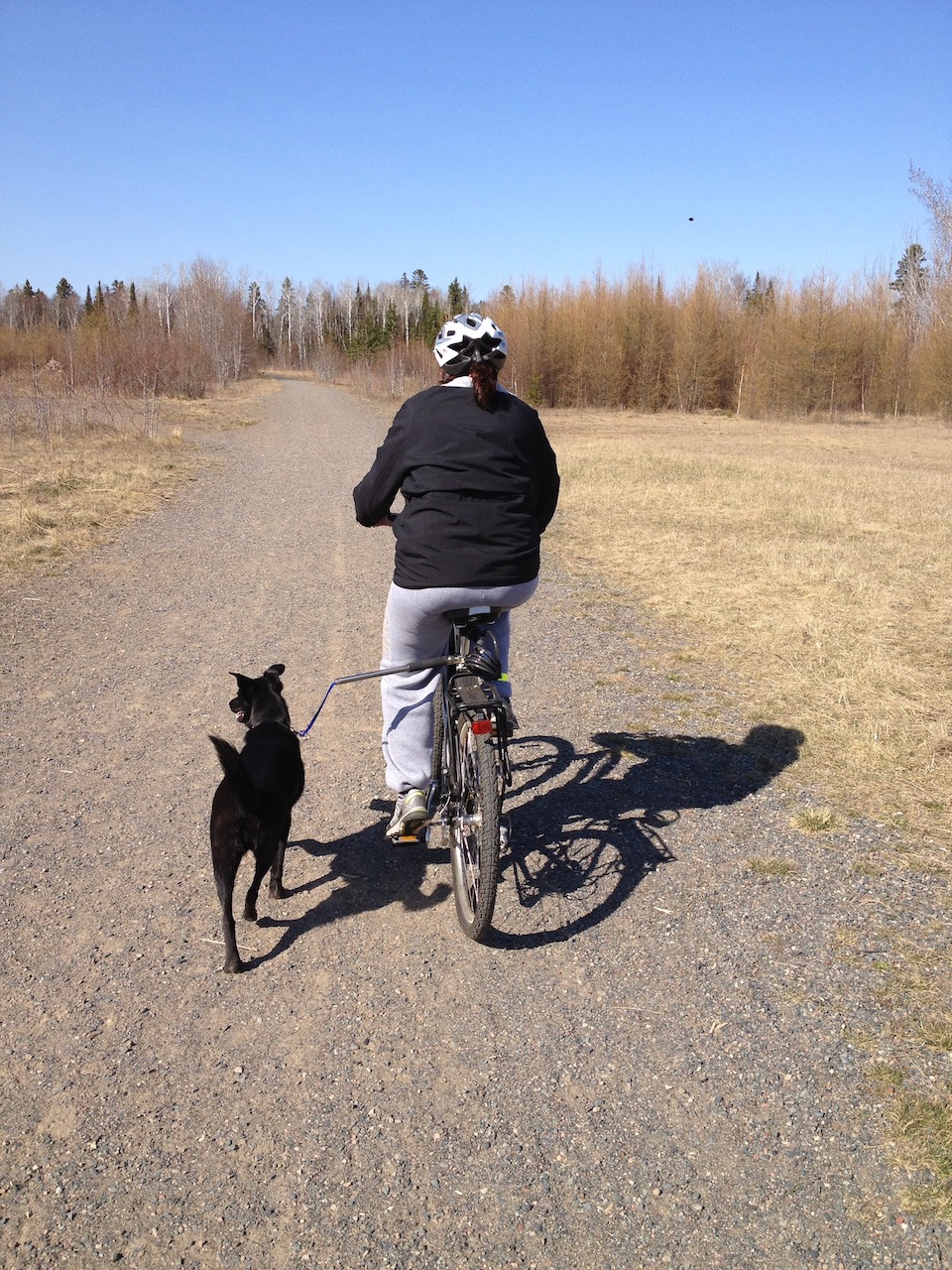 Womar riding a bicycle with a dog attached by a seat-post leash attachment.